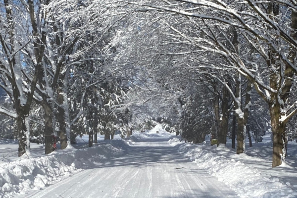 galilee winter photo - laneway