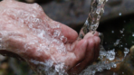 Sister Water and The Sultan: A Spiritual Inquiry with Francis of Assisi